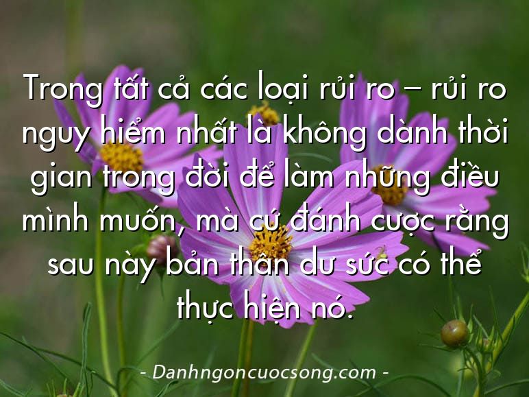 Trong tất cả các loại rủi ro – rủi ro nguy hiểm nhất là không dành thời gian trong đời để làm những điều mình muốn, mà cứ đánh cược rằng sau này bản thân dư sức có thể thực hiện nó.