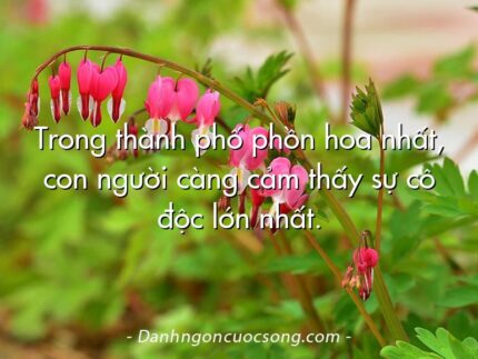 Trong thành phố phồn hoa nhất, con người càng cảm thấy sự cô độc lớn nhất.