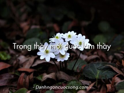 Trọng thầy mới được làm thầy