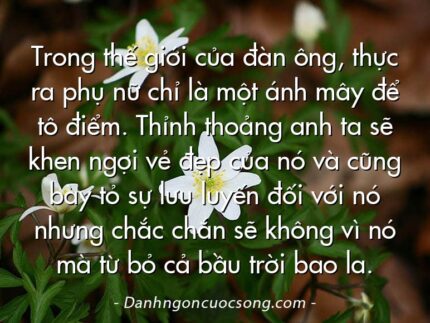 Trong thế giới của đàn ông, thực ra phụ nữ chỉ là một ánh mây để tô điểm. Thỉnh thoảng anh ta sẽ khen ngợi vẻ đẹp của nó và cũng bày tỏ sự lưu luyến đối với nó nhưng chắc chắn sẽ không vì nó mà từ bỏ cả bầu trời bao la.
