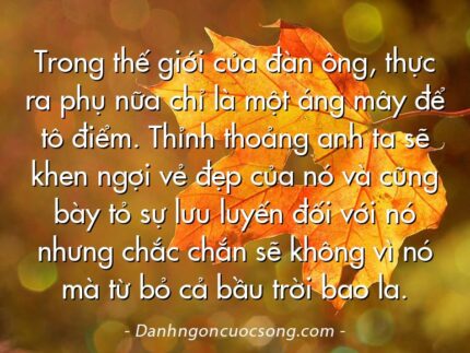 Trong thế giới của đàn ông, thực ra phụ nữa chỉ là một áng mây để tô điểm. Thỉnh thoảng anh ta sẽ khen ngợi vẻ đẹp của nó và cũng bày tỏ sự lưu luyến đối với nó nhưng chắc chắn sẽ không vì nó mà từ bỏ cả bầu trời bao la.