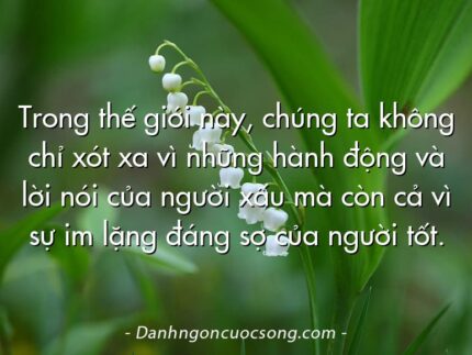 Trong thế giới này, chúng ta không chỉ xót xa vì những hành động và lời nói của người xấu mà còn cả vì sự im lặng đáng sợ của người tốt.