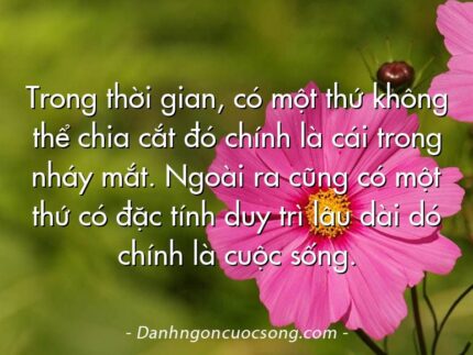 Trong thời gian, có một thứ không thể chia cắt đó chính là cái trong nháy mắt. Ngoài ra cũng có một thứ có đặc tính duy trì lâu dài dó chính là cuộc sống.