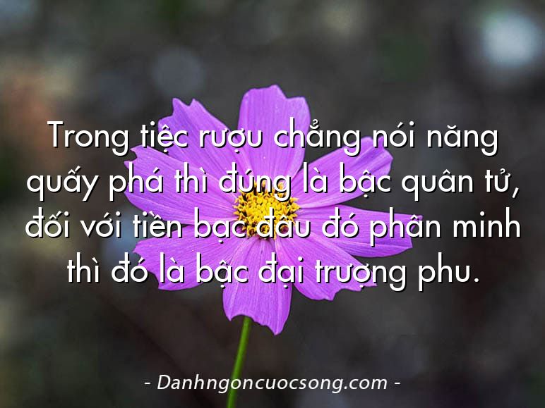 Trong tiệc rượu chẳng nói năng quấy phá thì đúng là bậc quân tử, đối với tiền bạc đâu đó phân minh thì đó là bậc đại trượng phu.