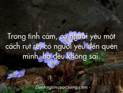 Trong tình cảm, có người yêu một cách rụt rè, có người yêu đến quên mình, họ đều không sai.