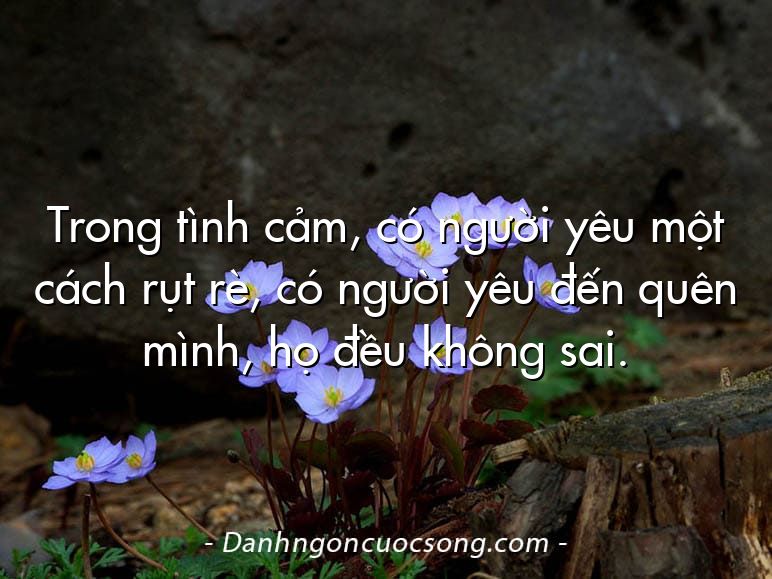 Trong tình cảm, có người yêu một cách rụt rè, có người yêu đến quên mình, họ đều không sai.