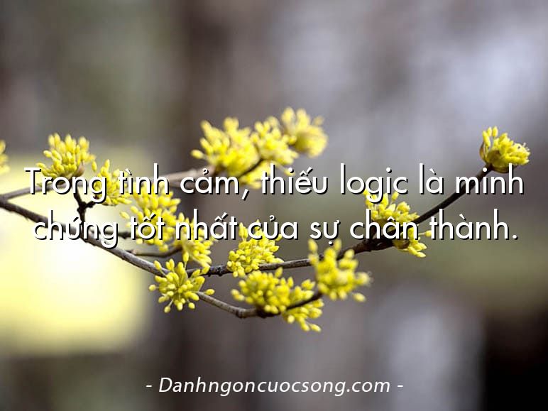 Trong tình cảm, thiếu logic là minh chứng tốt nhất của sự chân thành.