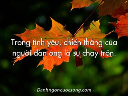 Trong tình yêu, chiến thắng của người đàn ông là sự chạy trốn.
