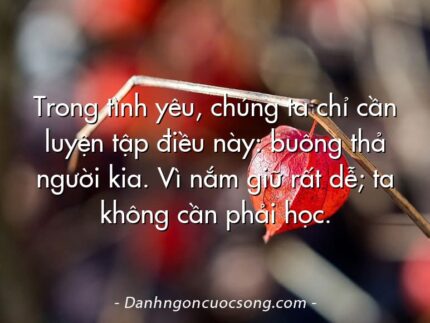 Trong tình yêu, chúng ta chỉ cần luyện tập điều này: buông thả người kia. Vì nắm giữ rất dễ; ta không cần phải học.