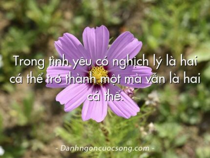 Trong tình yêu có nghịch lý là hai cá thể trở thành một mà vẫn là hai cá thể.