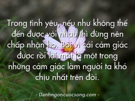 Trong tình yêu, nếu như không thể đến được với nhau thì đừng nên chấp nhận họ. Bởi vì cái cảm giác được rồi lại mất là một trong những cảm giác làm người ta khó chịu nhất trên đời.