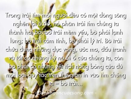 Trong trái tim mỗi người đều có một dòng sông nghẽn lại ở đó, nó phân trái tim chúng ta thành hai bờ: bờ trái mềm yếu, bờ phải lạnh lùng; bờ trái cảm tính, bờ phải lý trí. Bờ trái chứa đựng những dục vọng, ước mơ, đấu tranh và tất cả những hỷ nộ ái ố của chúng ta, còn bờ phải có những vết tích nóng bỏng của đủ mọi loại quy tắc trên thế gian in vào tim chúng ta – bờ trái là giấc mộng, còn bờ phải là cuộc sống.