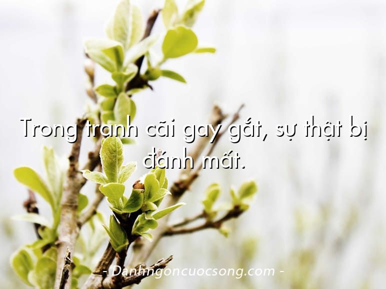 Trong tranh cãi gay gắt, sự thật bị đánh mất.