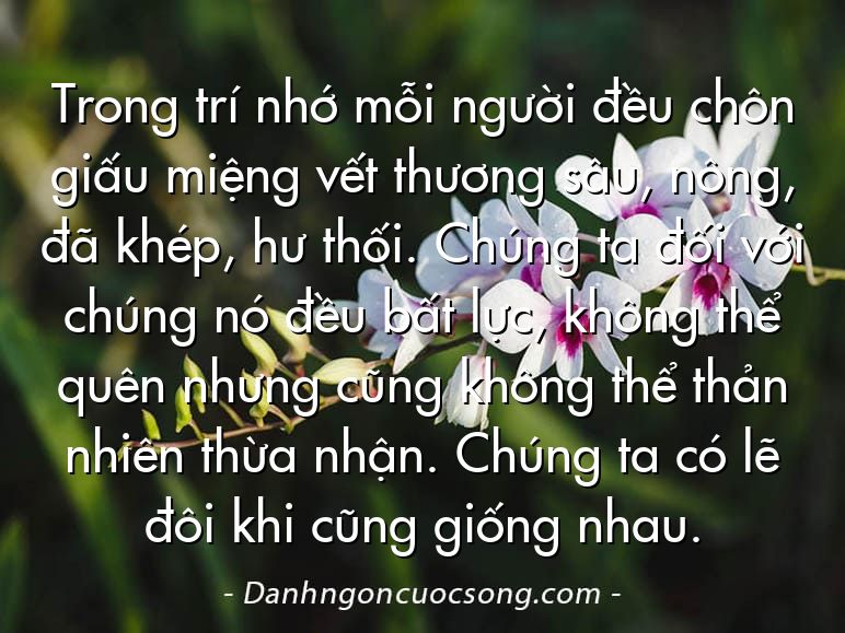 Trong trí nhớ mỗi người đều chôn giấu miệng vết thương sâu, nông, đã khép, hư thối. Chúng ta đối với chúng nó đều bất lực, không thể quên nhưng cũng không thể thản nhiên thừa nhận. Chúng ta có lẽ đôi khi cũng giống nhau.