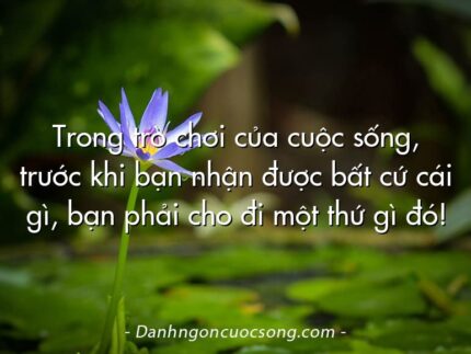 Trong trò chơi của cuộc sống, trước khi bạn nhận được bất cứ cái gì, bạn phải cho đi một thứ gì đó!