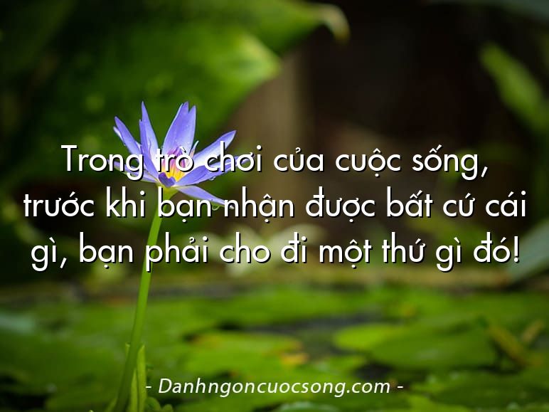 Trong trò chơi của cuộc sống, trước khi bạn nhận được bất cứ cái gì, bạn phải cho đi một thứ gì đó!