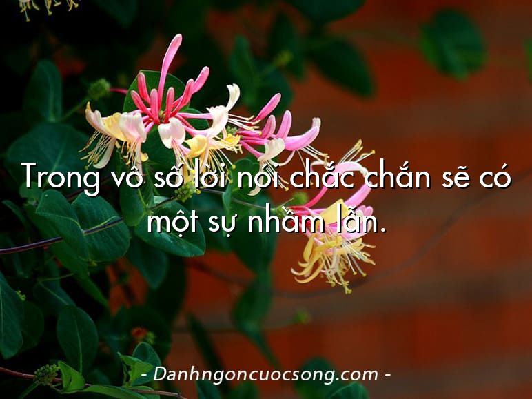 Trong vô số lời nói chắc chắn sẽ có một sự nhầm lẫn.