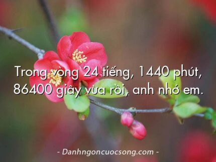 Trong vòng 24 tiếng, 1440 phút, 86400 giây vừa rồi, anh nhớ em.