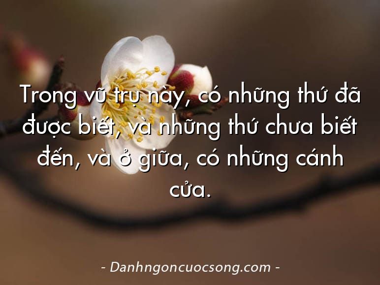 Trong vũ trụ này, có những thứ đã được biết, và những thứ chưa biết đến, và ở giữa, có những cánh cửa.