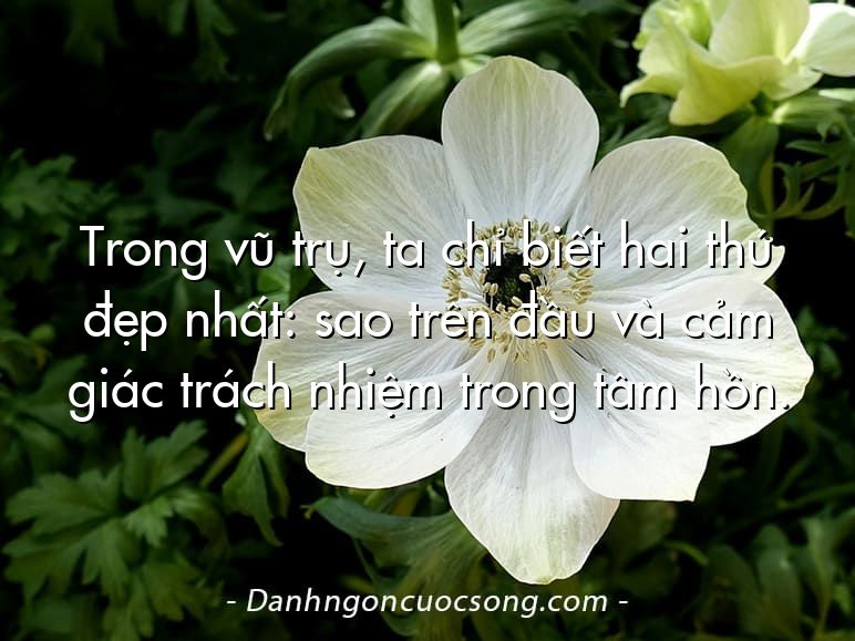 Trong vũ trụ, ta chỉ biết hai thứ đẹp nhất: sao trên đầu và cảm giác trách nhiệm trong tâm hồn.