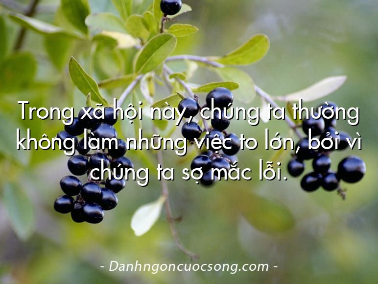 Trong xã hội này, chúng ta thường không làm những việc to lớn, bởi vì chúng ta sợ mắc lỗi.