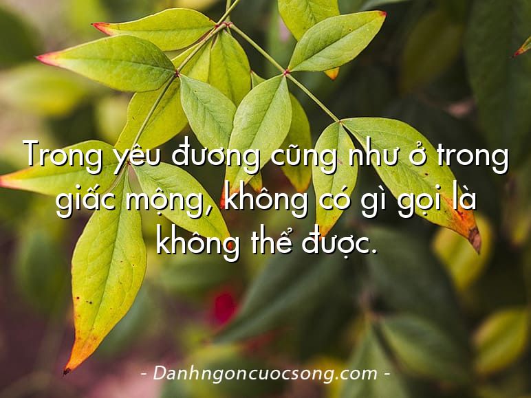Trong yêu đương cũng như ở trong giấc mộng, không có gì gọi là không thể được.