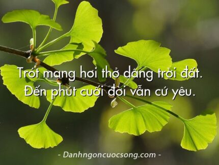 Trót mang hơi thở dâng trời đất. Đến phút cuối đời vẫn cứ yêu.