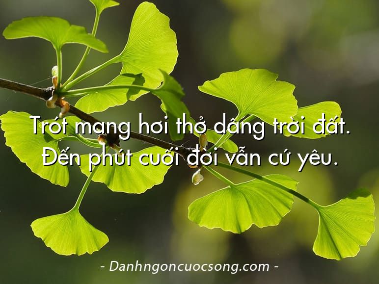 Trót mang hơi thở dâng trời đất. Đến phút cuối đời vẫn cứ yêu.