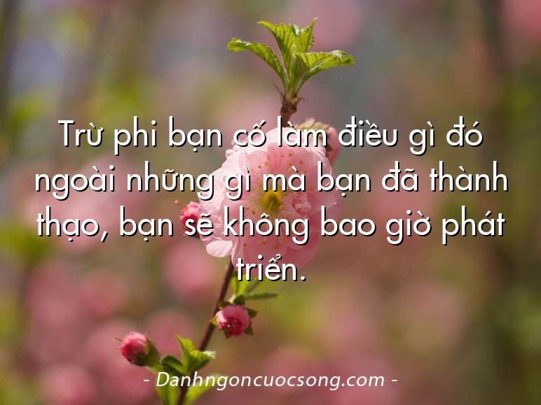 Trừ phi bạn cố làm điều gì đó ngoài những gì mà bạn đã thành thạo, bạn sẽ không bao giờ phát triển.