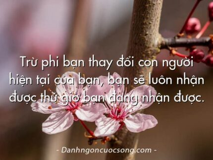 Trừ phi bạn thay đổi con người hiện tại của bạn, bạn sẽ luôn nhận được thứ giờ bạn đang nhận được.