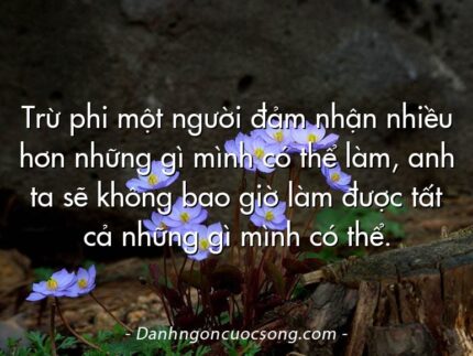 Trừ phi một người đảm nhận nhiều hơn những gì mình có thể làm, anh ta sẽ không bao giờ làm được tất cả những gì mình có thể.
