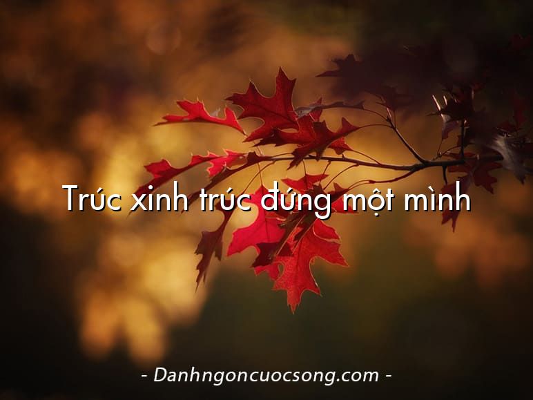 Trúc xinh trúc đứng một mình