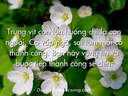Trứng vịt còn lộn huống chi là con người. Có vấp ngã, sai lầm mới có thành công. Bạn hãy vững tin và bước tiếp thành công sẽ đến.