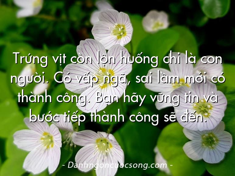 Trứng vịt còn lộn huống chi là con người. Có vấp ngã, sai lầm mới có thành công. Bạn hãy vững tin và bước tiếp thành công sẽ đến.
