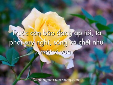 Trước cơn bão đang ập tới, ta phải suy nghĩ, sống và chết như một vị vua.