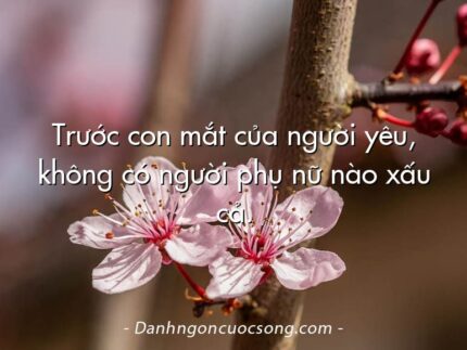Trước con mắt của người yêu, không có người phụ nữ nào xấu cả.