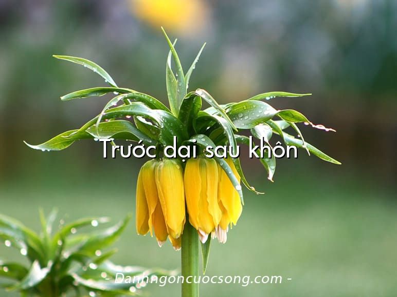 Trước dại sau khôn