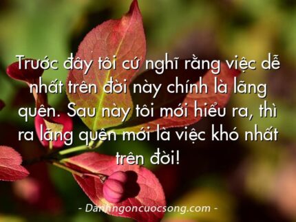 Trước đây tôi cứ nghĩ rằng việc dễ nhất trên đời này chính là lãng quên. Sau này tôi mới hiểu ra, thì ra lãng quên mới là việc khó nhất trên đời!