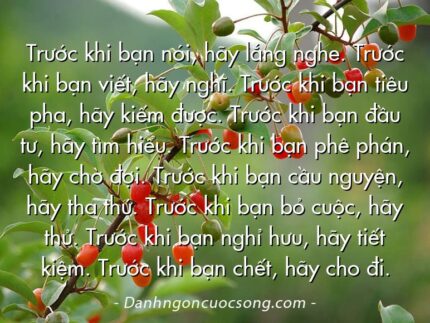 Trước khi bạn nói, hãy lắng nghe. Trước khi bạn viết, hãy nghĩ. Trước khi bạn tiêu pha, hãy kiếm được. Trước khi bạn đầu tư, hãy tìm hiểu. Trước khi bạn phê phán, hãy chờ đợi. Trước khi bạn cầu nguyện, hãy tha thứ. Trước khi bạn bỏ cuộc, hãy thử. Trước khi bạn nghỉ hưu, hãy tiết kiệm. Trước khi bạn chết, hãy cho đi.