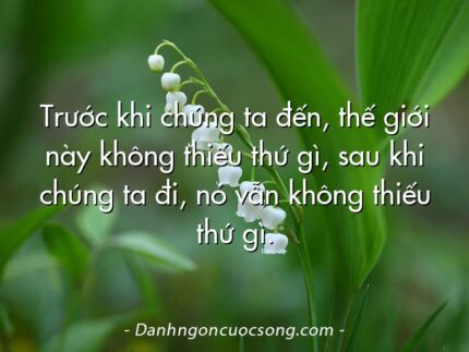 Trước khi chúng ta đến, thế giới này không thiếu thứ gì, sau khi chúng ta đi, nó vẫn không thiếu thứ gì.