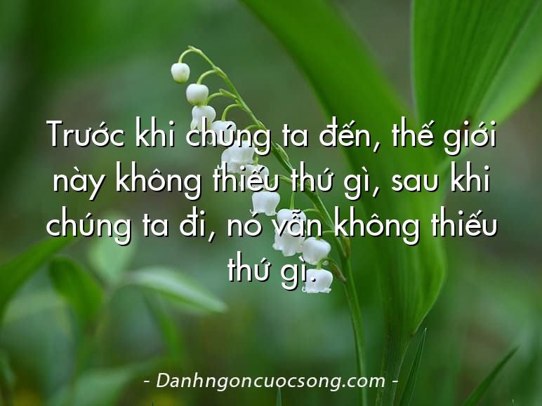 Trước khi chúng ta đến, thế giới này không thiếu thứ gì, sau khi chúng ta đi, nó vẫn không thiếu thứ gì.