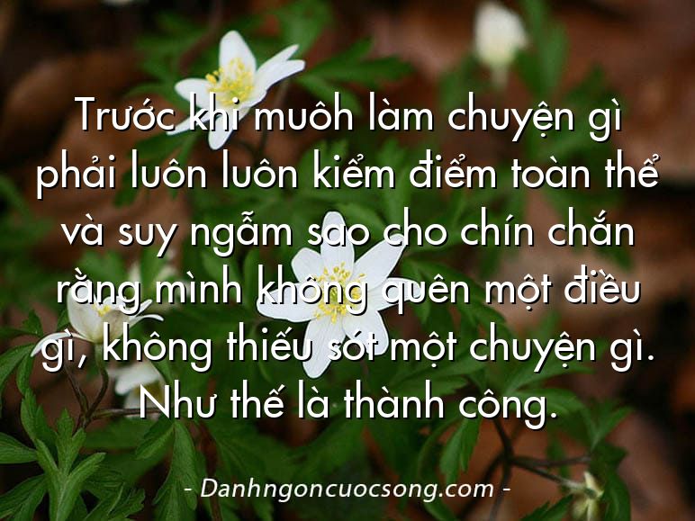 Trước khi muôh làm chuyện gì phải luôn luôn kiểm điểm toàn thể và suy ngẫm sao cho chín chắn rằng mình không quên một điều gì, không thiếu sót một chuyện gì. Như thế là thành công.