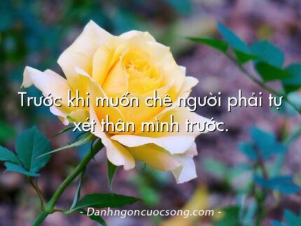 Trước khi muốn chê người phải tự xét thân mình trước.