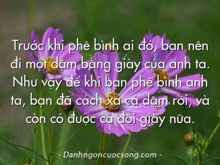Trước khi phê bình ai đó, bạn nên đi một dặm bằng giày của anh ta. Như vậy để khi bạn phê bình anh ta, bạn đã cách xa cả dặm rồi, và còn có được cả đôi giày nữa.