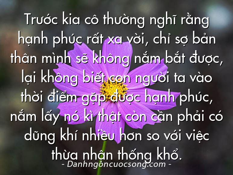 Trước kia cô thường nghĩ rằng hạnh phúc rất xa vời, chỉ sợ bản thân mình sẽ không nắm bắt được, lại không biết con người ta vào thời điểm gặp được hạnh phúc, nắm lấy nó kì thật còn cần phải có dũng khí nhiều hơn so với việc thừa nhận thống khổ.