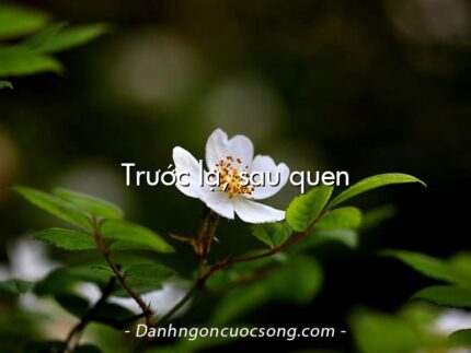 Trước lạ, sau quen