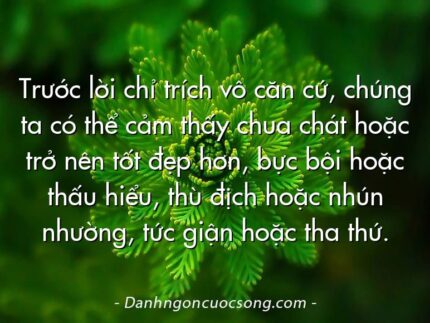 Trước lời chỉ trích vô căn cứ, chúng ta có thể cảm thấy chua chát hoặc trở nên tốt đẹp hơn, bực bội hoặc thấu hiểu, thù địch hoặc nhún nhường, tức giận hoặc tha thứ.