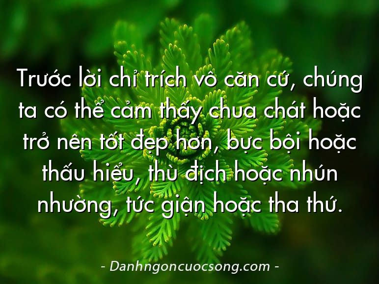 Trước lời chỉ trích vô căn cứ, chúng ta có thể cảm thấy chua chát hoặc trở nên tốt đẹp hơn, bực bội hoặc thấu hiểu, thù địch hoặc nhún nhường, tức giận hoặc tha thứ.