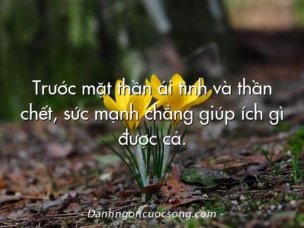 Trước mặt thần ái tình và thần chết, sức mạnh chẳng giúp ích gì được cả.