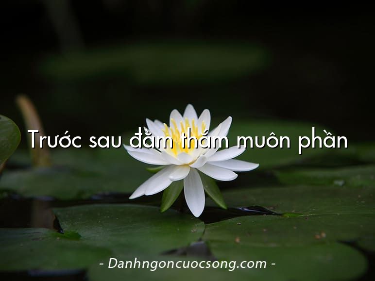 Trước sau đằm thắm muôn phần